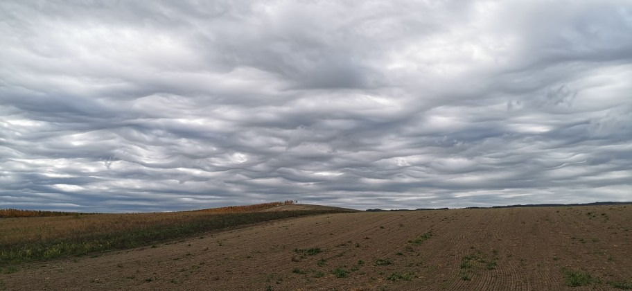 Győrság