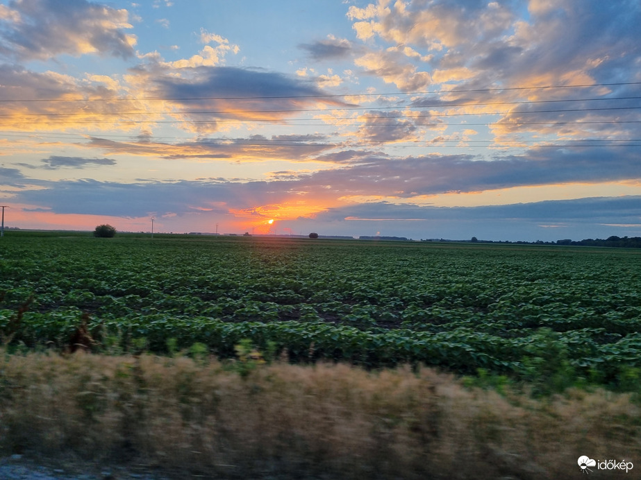 Napimádó, városok között