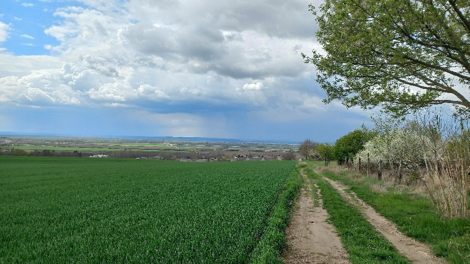 Petőfibánya