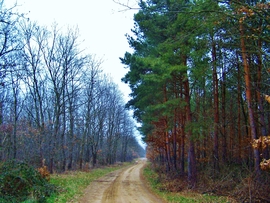 pecztibor fotója