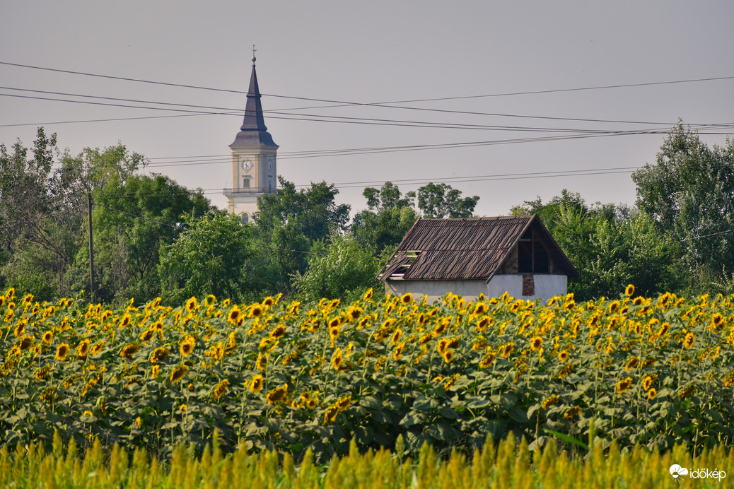 Püspökladány