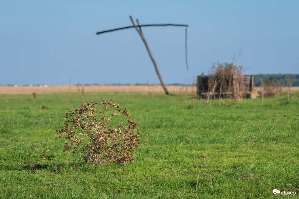 Püspökladány, Ágota-puszta