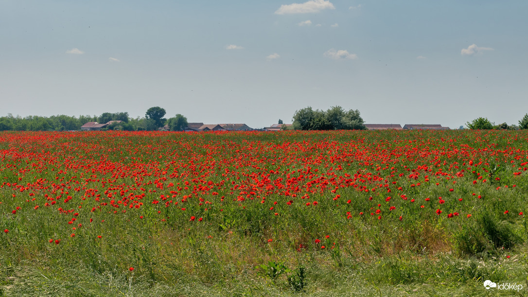 Püspökladány