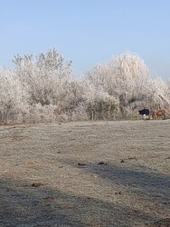 Szápár