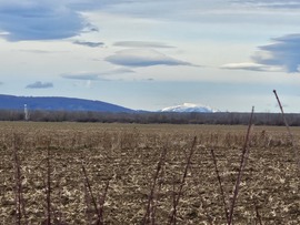 Tiszta időnk van: Schneeberg Kőszegpaty felől