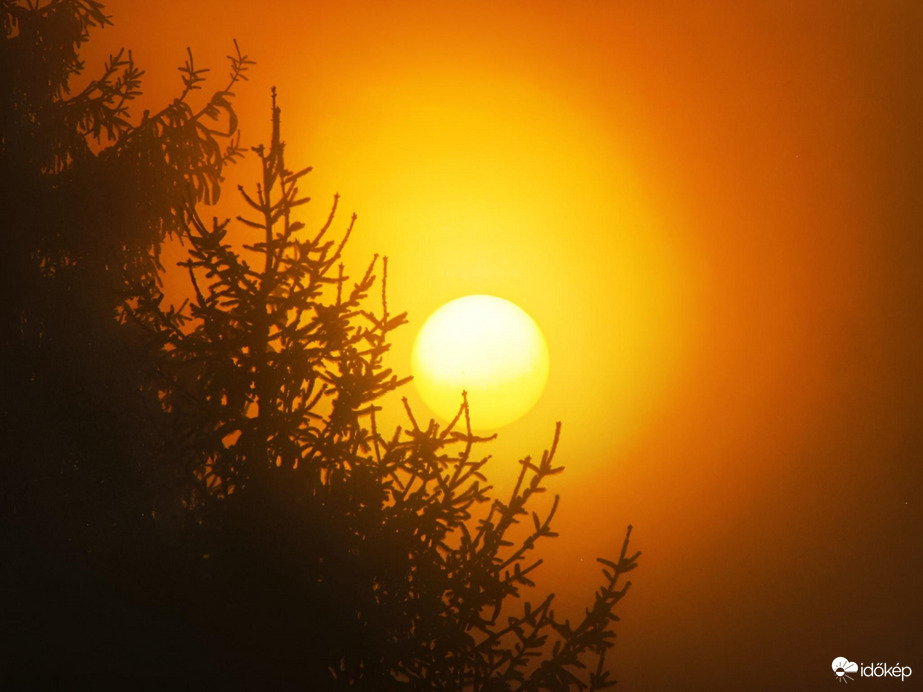 Lenyugvó napkorong a párás, ködös időben