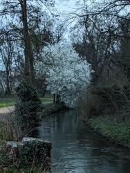 Ettlingen