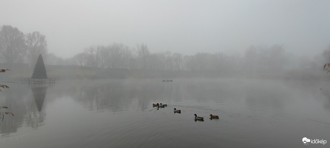 racskobalazs fotója