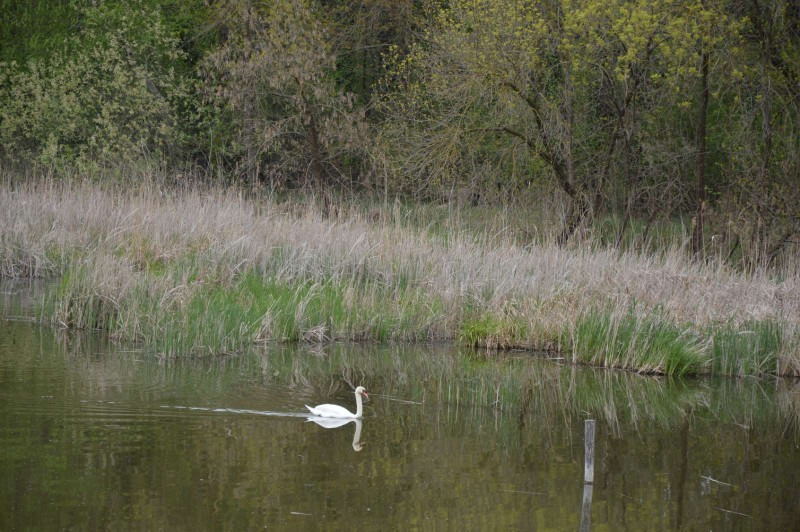 Székesfehérvár