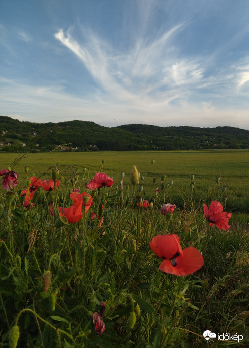 Szekszárdi dombok és cirrusok