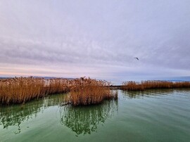 Balatonföldvár