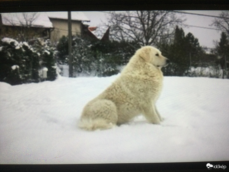 20200324Pécs