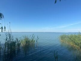 Balatonkenese