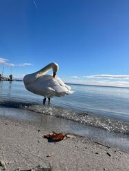 Balatonalmádi