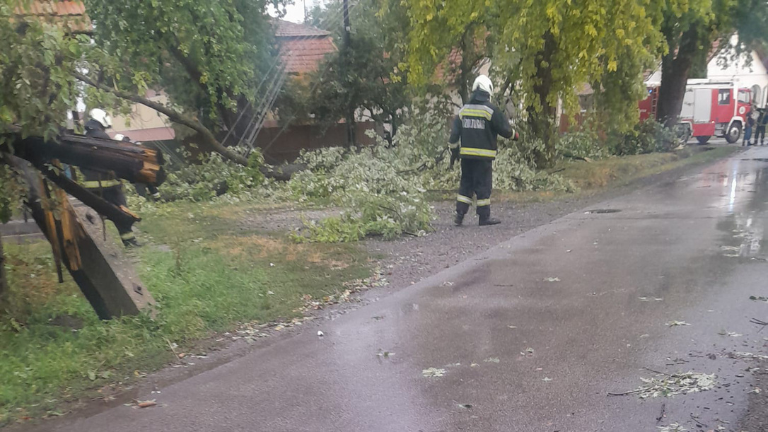 Tünde Zoltánné fotója