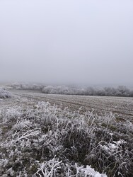 Kravany nad Dunajom