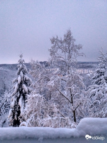 roskadoznak a fák a hó alatt.