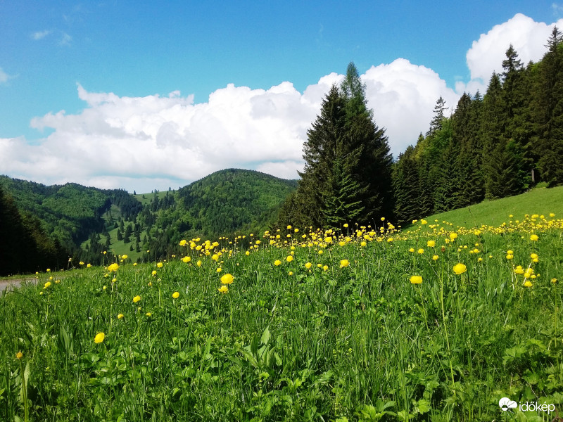 Tavasz a Szlovák-Paradicsomban