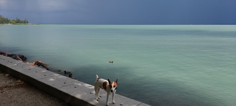 Balatonfüred