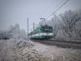 Zúzmarával kezdődött az év