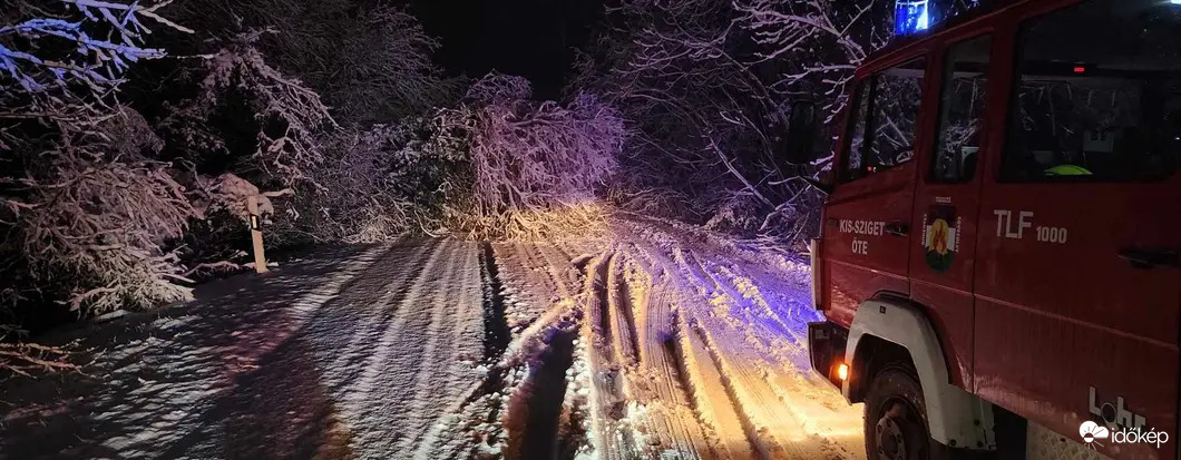 A hó miatt kidőlt fák Szigetszentmárton és Ráckeve között