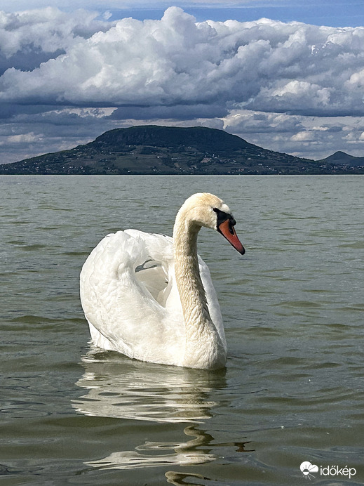 Gyülekező az égen 