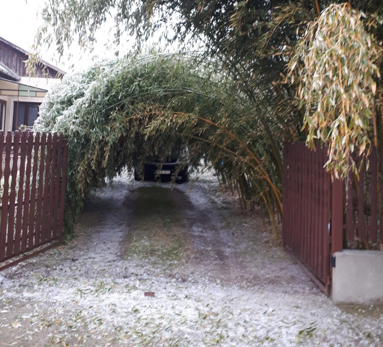 Fotó: Török Csúri Magdolna