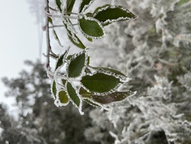 szfrita fotója