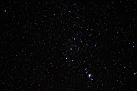 Orion