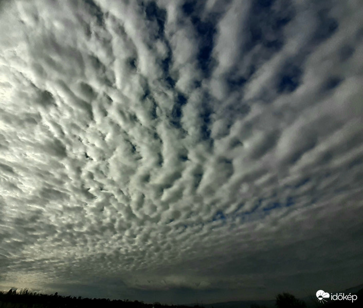 Altocumulus stratiformis/perlucidus