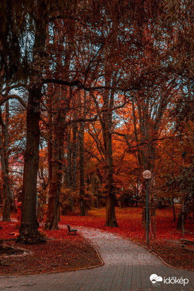 Őszi séta a parkban