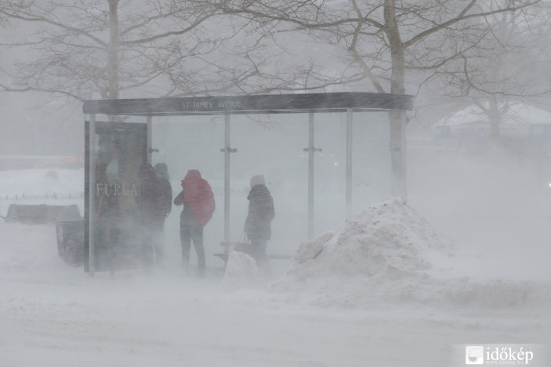 Winter Storm Linus