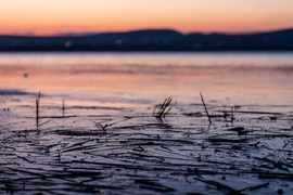 Balatonfűzfő