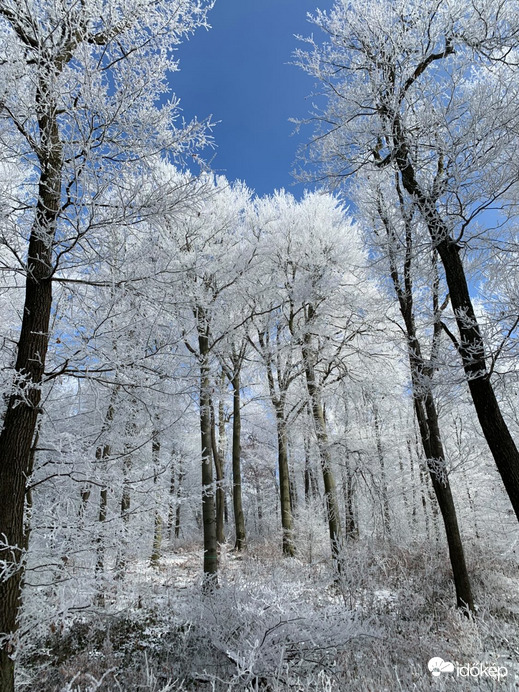 Dobogókő