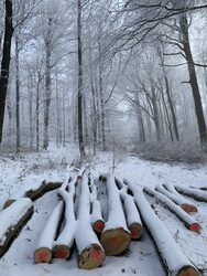 A jövő tél melege