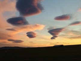 Mesés lenticularis