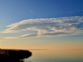 Balatonfenyves