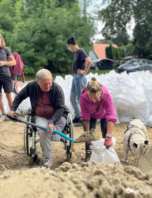 minden tiszteletem 