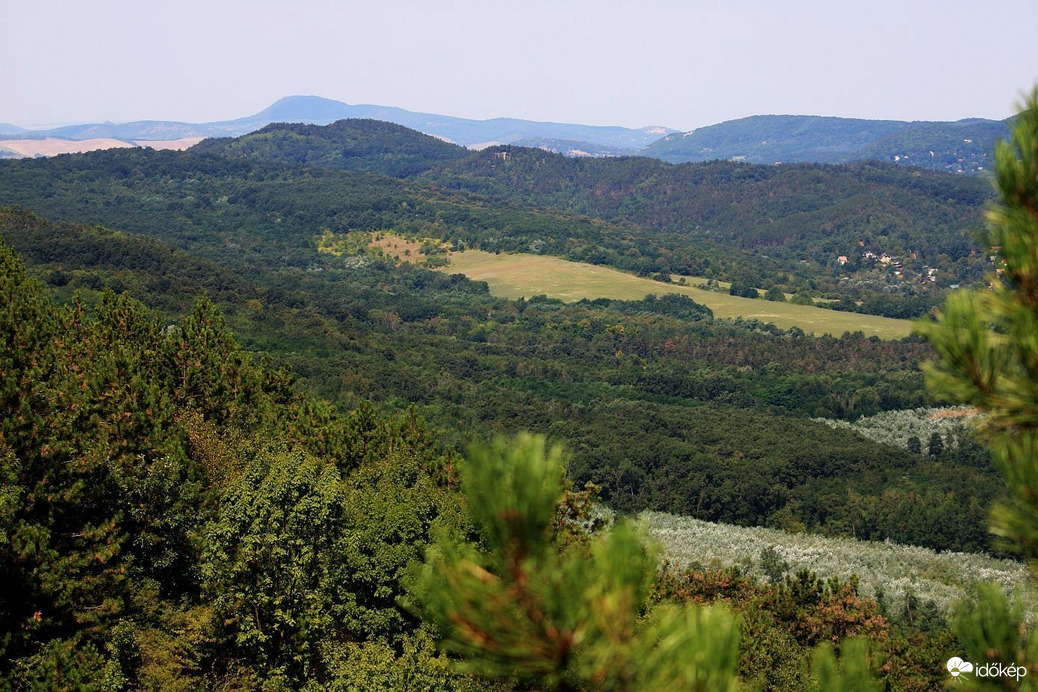 Zöld árnyalatok