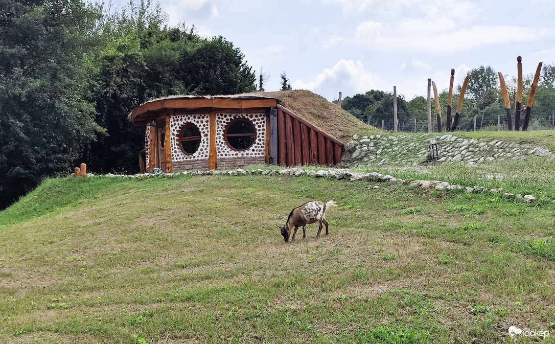 A Hobbit kecskéje