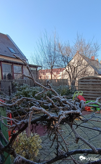 A szomszéd kertje mindig deresebb