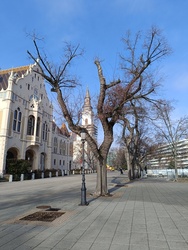 Kecskemét központja a hétvégi napsütésben