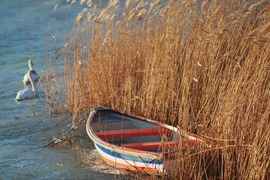 Balatonalmádi