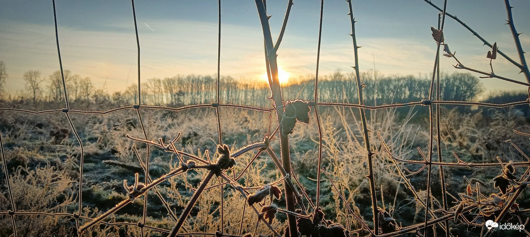 Karácsony reggel az erdőn 2024.12.26.