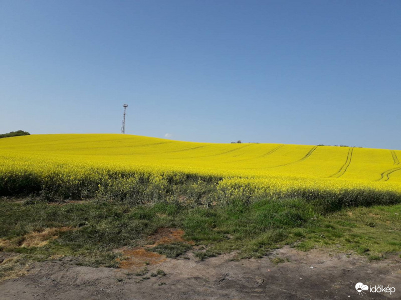 Hárshegyi Ágnes fotója