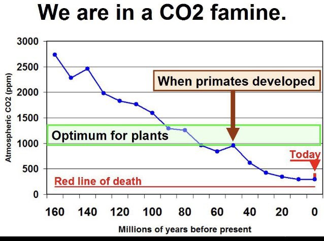 CO2 optimum szintek a növények és  főemlősök fejlődése során 