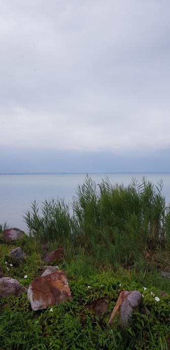 Balatonfűzfő