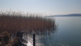 Balatonfűzfő