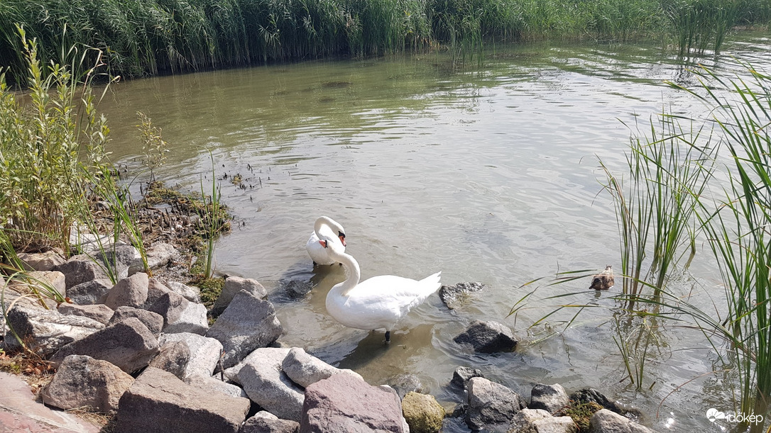 Balatonfűzfő