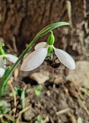 zsebesireka fotója